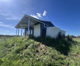 Rural / Farming commercial property for sale at Lot 61 School Of Arts Road Pratten QLD 4370