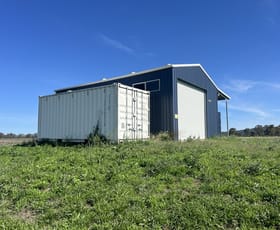 Rural / Farming commercial property for sale at Lot 61 School Of Arts Road Pratten QLD 4370