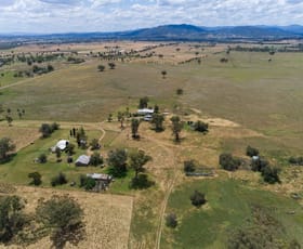 Rural / Farming commercial property for sale at 730 Ascot-Calala Road Calala NSW 2340