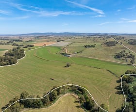 Rural / Farming commercial property sold at 'Belubula'/1052 Fish Fossil Drive Canowindra NSW 2804