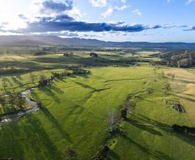 Rural / Farming commercial property for sale at 271 New River Road Ringarooma TAS 7263