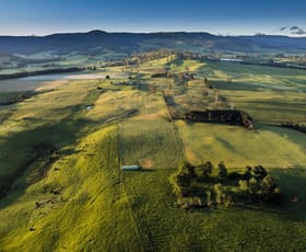 Rural / Farming commercial property for sale at 271 New River Road Ringarooma TAS 7263