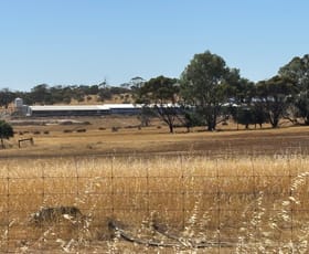 Rural / Farming commercial property for sale at 875 Youndegin Kelkering Road Youndegin WA 6407