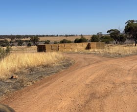 Rural / Farming commercial property for sale at 875 Youndegin Kelkering Road Youndegin WA 6407