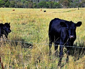 Farmlet commercial property for sale at 40A Saint Anthonys Creek Road ( vacant acres ) Glanmire NSW 2795