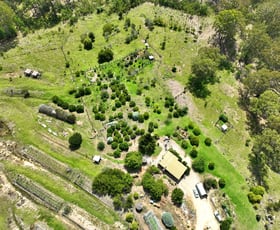 Rural / Farming commercial property for sale at 177 Maramingo Road Maramingo Creek VIC 3891