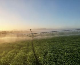 Rural / Farming commercial property for sale at 190 Treloars Road Condah VIC 3303