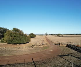 Rural / Farming commercial property for sale at 190 Treloars Road Condah VIC 3303