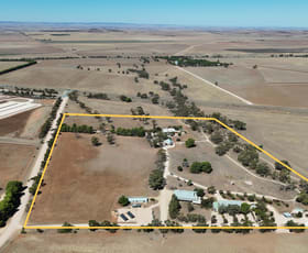 Hotel, Motel, Pub & Leisure commercial property for sale at Hummocks Station/45 Barunga Homestead Rd Snowtown SA 5520
