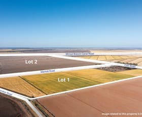 Rural / Farming commercial property for sale at Farm 360 Bilbul NSW 2680
