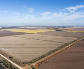 Rural / Farming commercial property for sale at Farm/360 Condon Rd Bilbul NSW 2680