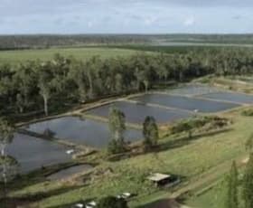 Development / Land commercial property for sale at 91 Hatchery Road Abington QLD 4660