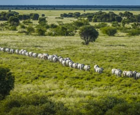 Rural / Farming commercial property for sale at Elrose Station Landsborough Highway Mckinlay QLD 4823