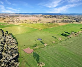 Rural / Farming commercial property for sale at 1425 Donnybrook road Woodstock VIC 3751