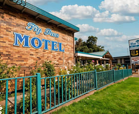 Hotel, Motel, Pub & Leisure commercial property for sale at Narrandera NSW 2700