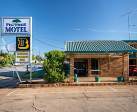 Hotel, Motel, Pub & Leisure commercial property for sale at Narrandera NSW 2700