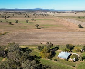 Rural / Farming commercial property for sale at 160 Gundong Road Tomingley NSW 2869