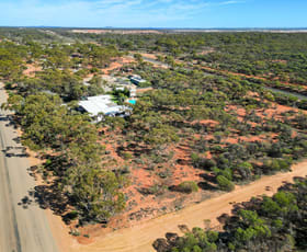 Development / Land commercial property for sale at 317 Hall Road Binduli WA 6430