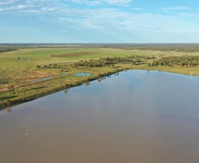 Rural / Farming commercial property for sale at 3124 Begonia Road St George QLD 4487
