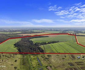 Rural / Farming commercial property for sale at 91, Eden Street Farm Walkers Point Road Granville QLD 4650
