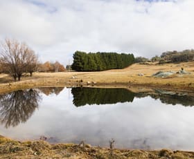 Rural / Farming commercial property sold at 175 Tumbledown Road Peak View NSW 2630