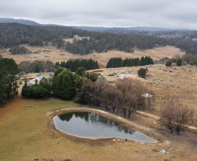 Rural / Farming commercial property sold at 175 Tumbledown Road Peak View NSW 2630