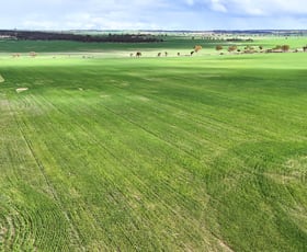Rural / Farming commercial property for sale at "Southies" Fewster Road Korbel WA 6415