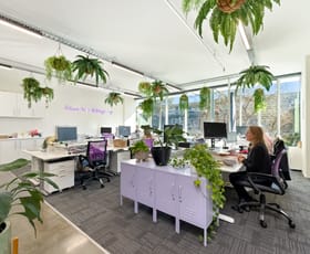 Offices commercial property for sale at 15/117 Old Pittwater Road Brookvale NSW 2100