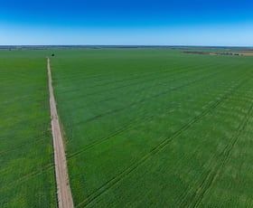 Rural / Farming commercial property for sale at 6210 Carnarvon Highway Thallon QLD 4497