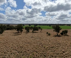 Rural / Farming commercial property for sale at 975 Cedarvale Road Cooranga QLD 4408