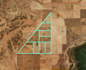 Rural / Farming commercial property for sale at 14538 Lincoln Highway Cowell SA 5602
