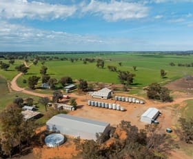 Rural / Farming commercial property for sale at 90 Kilnyana Road Savernake NSW 2646