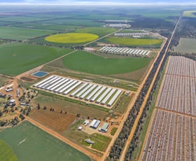 Rural / Farming commercial property for sale at Back Hillston Road Tabbita NSW 2652