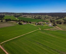 Rural / Farming commercial property for sale at 1799 Digilah Road Dunedoo NSW 2844