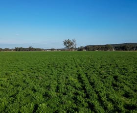 Rural / Farming commercial property for sale at 1799 Digilah Road Dunedoo NSW 2844
