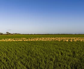 Rural / Farming commercial property for sale at Telopea Downs VIC 3420