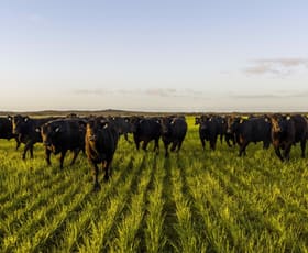 Rural / Farming commercial property for sale at Telopea Downs VIC 3420