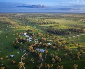 Rural / Farming commercial property for sale at 325 Maranoa Downs Road Stewart Range SA 5271