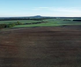 Rural / Farming commercial property for sale at Macarthur VIC 3286 Rural / Farming commercial property for sale at Macarthur VIC 3286