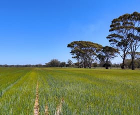 Rural / Farming commercial property for sale at Lots 501 & 34 Great Southern Highway Kokeby WA 6304