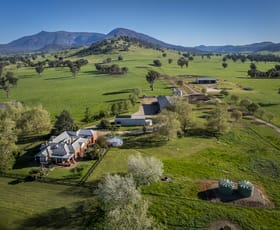 Rural / Farming commercial property for sale at 3091 Shelley Road Walwa VIC 3709 Rural / Farming commercial property for sale at 3091 Shelley Road Walwa VIC 3709