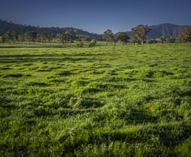 Rural / Farming commercial property for sale at 3091 Shelley Road Walwa VIC 3709 Rural / Farming commercial property for sale at 3091 Shelley Road Walwa VIC 3709