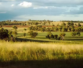 Rural / Farming commercial property for sale at 2200 Ashford Road Bukkulla NSW 2360