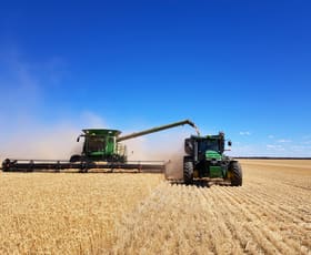 Rural / Farming commercial property for sale at "Waitavalo Farms" Narembeen WA 6369