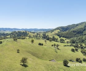 Rural / Farming commercial property for sale at 1989 Waukivory Road, Waukivory via Gloucester NSW 2422