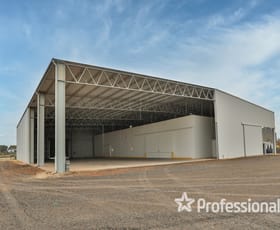 Factory, Warehouse & Industrial commercial property for sale at 47 Moore Street Robinvale VIC 3549