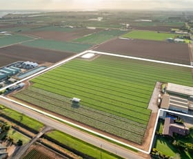 Rural / Farming commercial property for sale at 1 Whites Werribee South VIC 3030