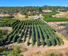 Development / Land commercial property for sale at Lot 21 Brookton Highway Karragullen WA 6111