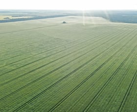 Rural / Farming commercial property for sale at 3531 Goodar Road Goodar QLD 4390