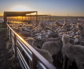 Rural / Farming commercial property for sale at 3788 The Snowy River Way Springfield NSW 2630